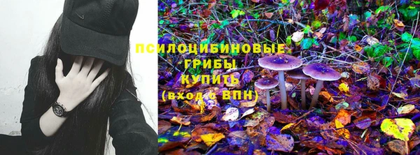 spice Балахна